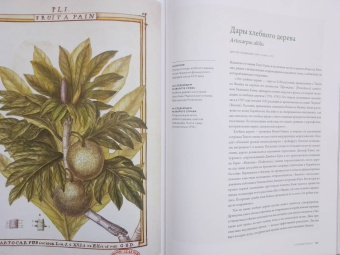 Макс Адамс: Выдающиеся деревья, которые изменили нашу жизнь