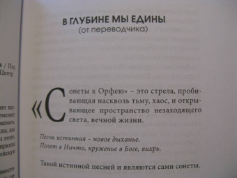 Мария Райнер: Элегии и другие стихотворения