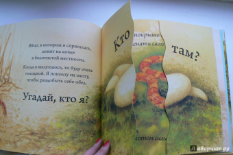 Кто спрятался?