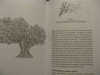 Петер Вольлебен: Тайные знаки природы. Как стать погодным детективом и читать приметы