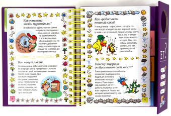 Мюлленхейм де: Как это работает?