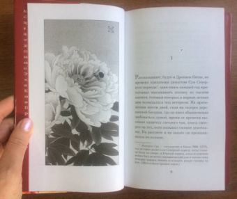 Мюриель Барбери: Только роза