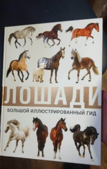 Анна Спектор: Лошади