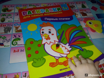 Первые птички. Книжка-раскраска