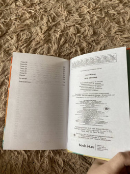 Холли Мартин: Лето мечтаний