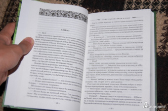 Крис Эванс: Хроники железных эльфов. Книга 1. Тьма, выкованная в огне