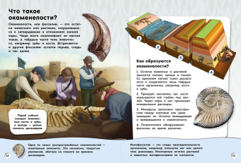 Бен Хаббард: Большая книга динозавров. Вопросы и ответы