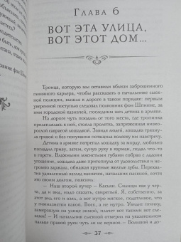 Лев Брусилов: Происшествие в городе Т.