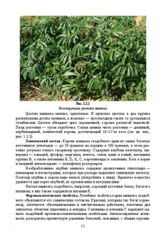 Ториков, Мельникова, Резунова: Культурные растения в мировом земледелии. Корне- и клубнеплоды, сахароносные, масличные