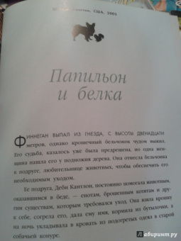 Дженнифер Холанд: Невероятная правда о дружбе:  47 историй в фотографиях об удивительной дружбе животных