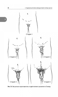 Александр Древаль: Репродуктивная эндокринология. Руководство для врачей