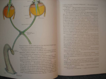 Кэрол Доннер: Тайны анатомии