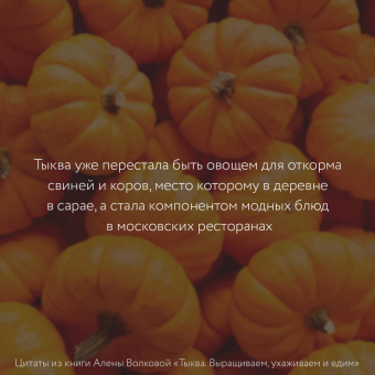 Алена Волкова: Тыква. Выращиваем, ухаживаем и едим