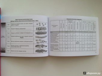 Сергей Вялов: Гастроэнтерология. Практическое руководство