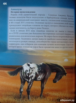 Леся Калугина: Хочу знать. Лошади