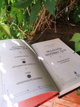 Матильда Старр: Академия мертвых душ. Неправильная студентка. Книга 1