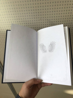 Мэри Пирсон: Танец воров