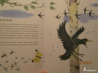 Анатолий Тумбасов: Телеграмма