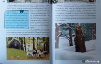 Ярослава Соколова: Хочу знать. Медведи