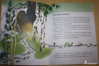 Анатолий Тумбасов: Телеграмма