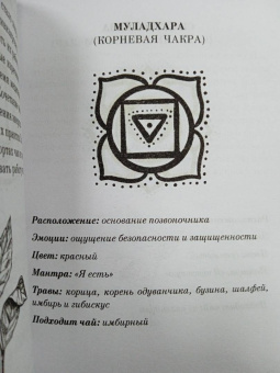 Фиби Андерсон: Зельеварение. Магия чайных ритуалов