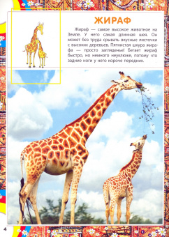 AFRICA. Животный мир Африки (слон)
