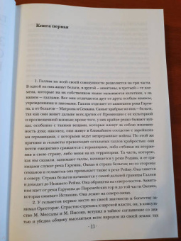 Гай Цезарь: Записки величайшего правителя