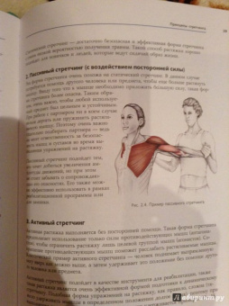 Анатомия стретчинга. Большая иллюстрированная энциклопедия