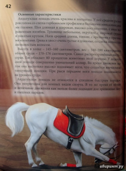 Леся Калугина: Хочу знать. Лошади