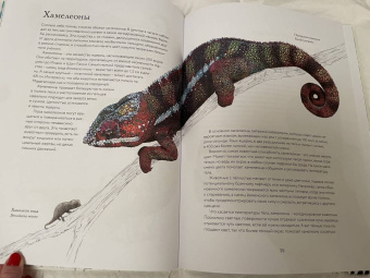 Бен Ротери: Тайны дикой природы