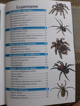 Мария Куруськина: Энциклопедия. Пауки