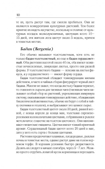 Галина Кизима: Цветник для тех, кому за... без лишних усилий
