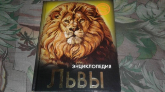 Владислав Щербак: Хочу знать. Львы