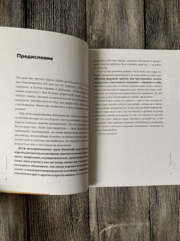 Михаил Лабковский: Люблю и понимаю. Как растить детей счастливыми (и не сойти с ума от беспокойства)