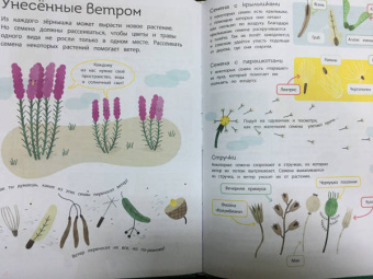 Изабель Томас: Ветер