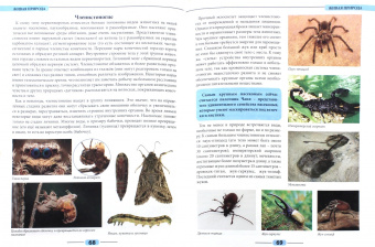 Мария Куруськина: Живая природа