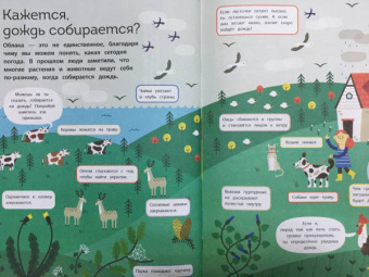 Изабель Томас: Вода