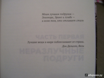 Сильвия Аваллоне: Стальное лето
