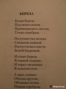 Сергей Есенин: Я московский озорной гуляка