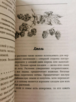 Галина Кизима: Неприхотливый цветник. Правила и советы для начинающих