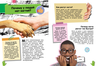 Томас Канаван: Путеводитель по телу человека. Вопросы и ответы