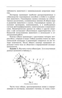 Семенченко, Дегтярь: Служебное собаководство. Практикум. Учебное пособие