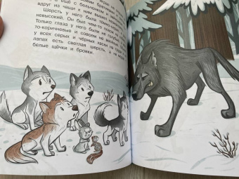 Вероника Медведева: Держи ушки на макушке. Безопасность с малышом Лаки