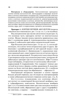 Вракин, Сидорова, Панов: Практикум по анатомии и гистологии с основами гистологии и эмбриологии сельскохозяйственных животных