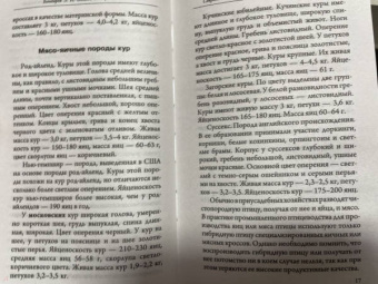 Эдуард Бондарев: Птицеводство для начинающих. Самое полное руководство по разведению кур, индеек и перепелов