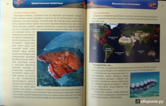 Ольга Тяжлова: Удивительные животные