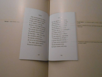 Пушкин, Рожников: Евгений Онегин. Подробный иллюстрированный комментарий