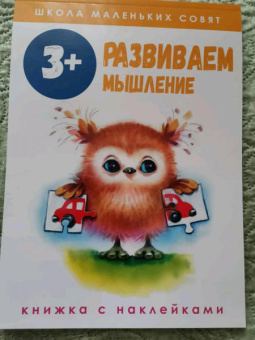 Лариса Маврина: Школа маленьких совят 3+. Развиваем мышление