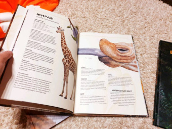 Хольгер Хааг: Животные Африки в натуральную величину