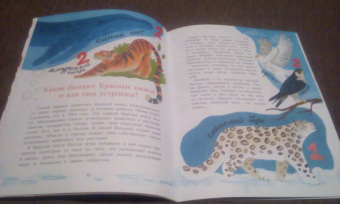 Илья Кочергин: Что такое Красная книга